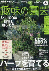 楽天ブックス 英語をやるなら Nhkテキスト 楽天ブックス 英語をやるなら Nhkテキスト