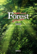 総合英語Forest6th　edit