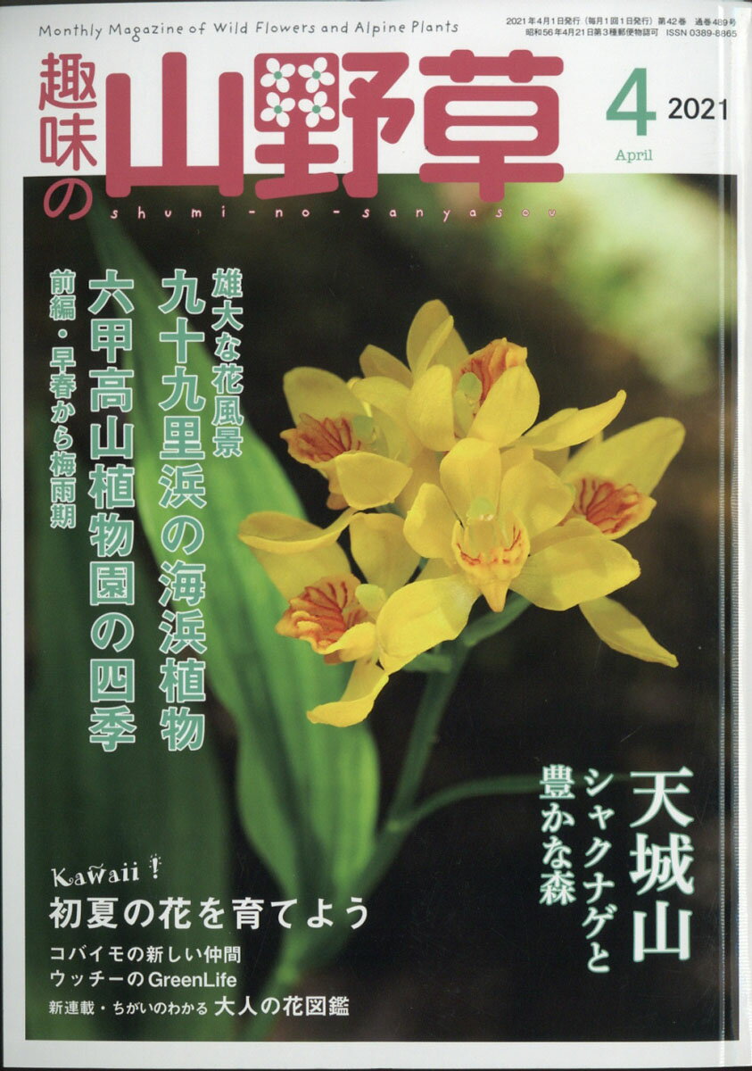 趣味の山野草 2021年 04月号 [雑誌]