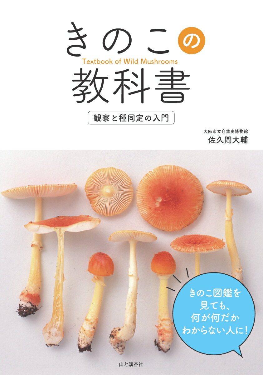 山と溪谷社発行年月：2019年09月17日 予約締切日：2019年07月20日 ISBN：9784635580410 本 旅行・留学・アウトドア キャンプ 美容・暮らし・健康・料理 ガーデニング・フラワー 野菜作り 科学・技術 植物学