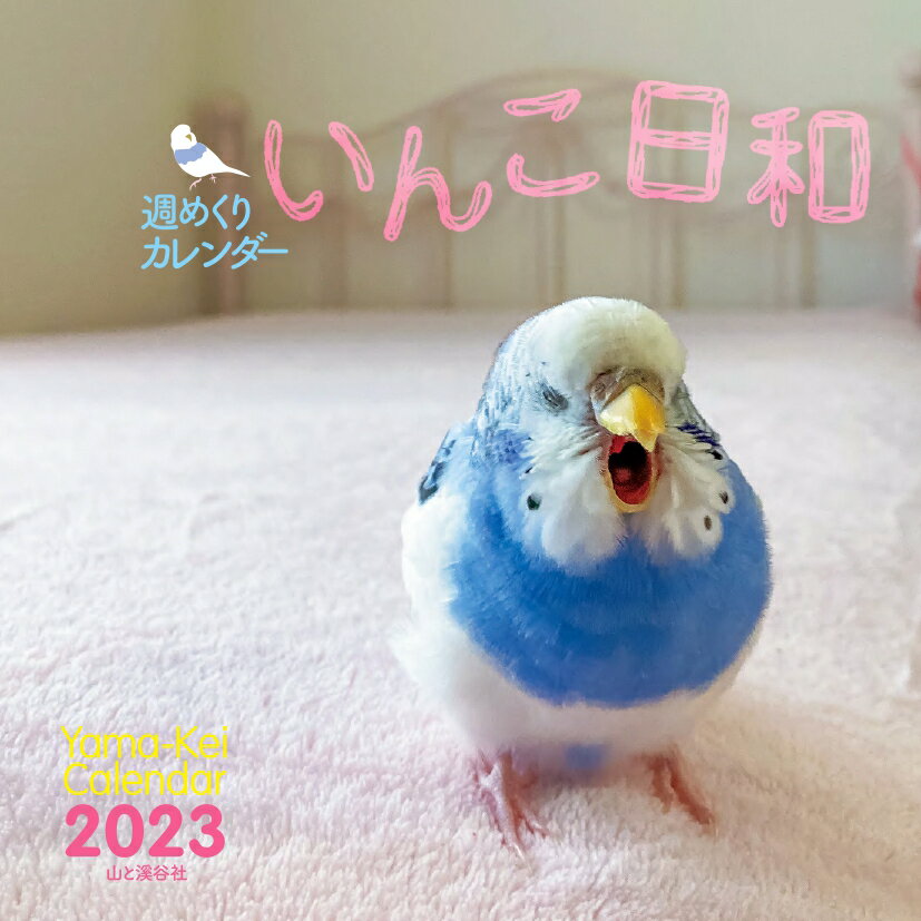 ���᤯�ꥫ�������������¥���������2023��