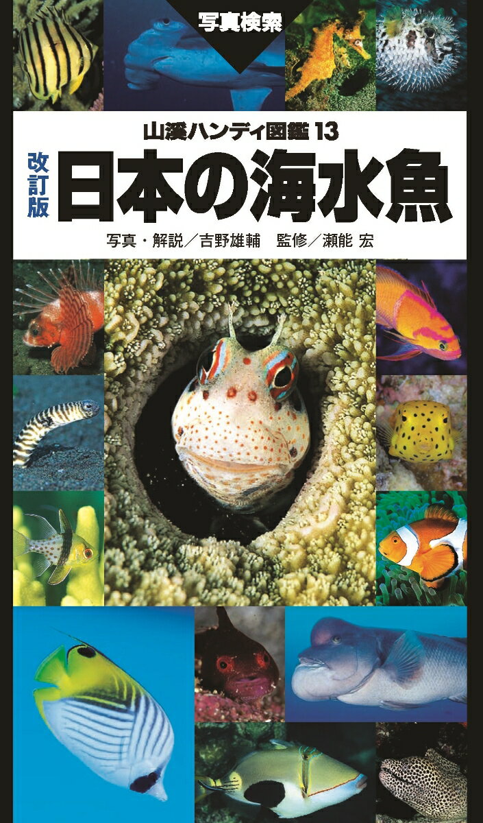 日本の海水魚改訂版 （山溪ハンディ図鑑） 吉野雄輔