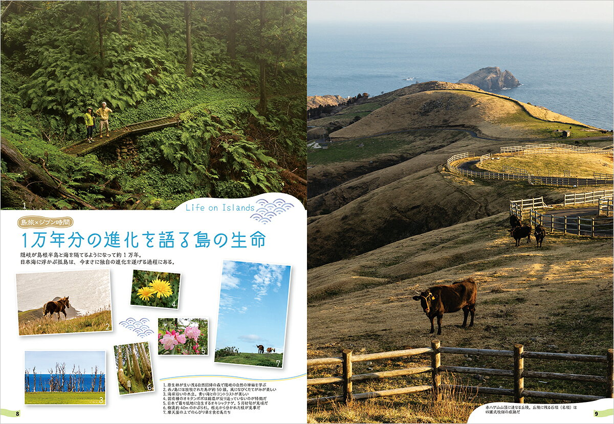 09　地球の歩き方　島旅　隠岐　3訂版 [ 地球の歩き方編集室 ] book-20919895 楽天ブックス サンプル画像3
