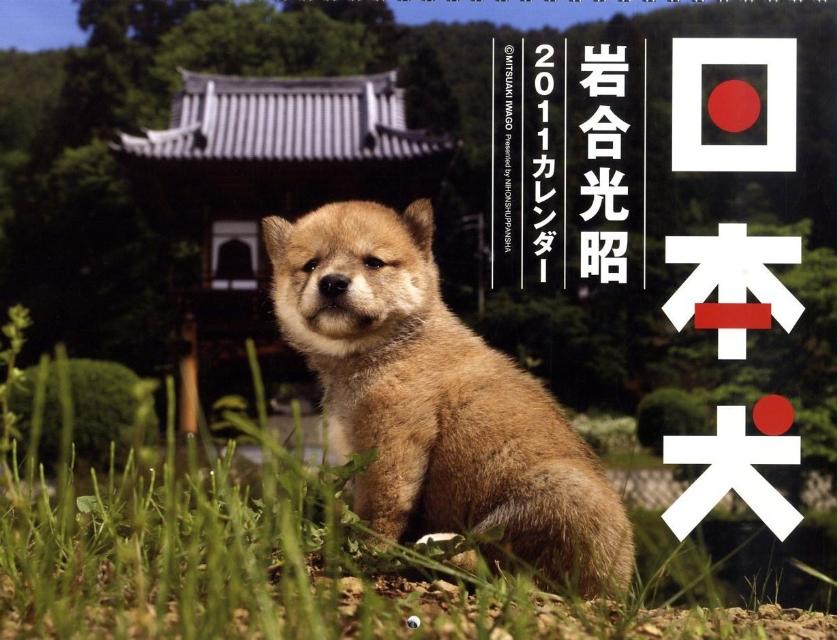 日本犬　2011［カレンダー］