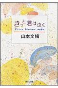 きっと君は泣く