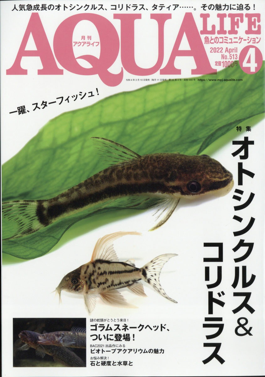 月刊 AQUA LIFE (アクアライフ) 2022年 04月号 [雑誌]