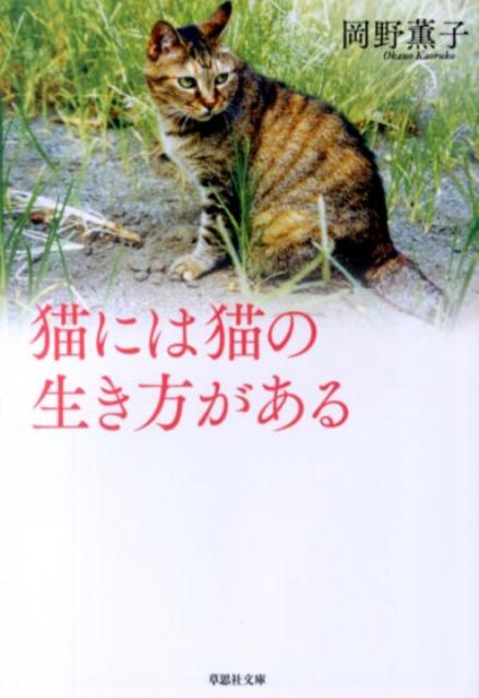 岡野家でともに暮らした猫たちの成長とぬくもり、そして別れをたどる物語。母猫コロとその息子たちを中心としたオムニバス方式。前作『猫がドアをノックする』の続篇。