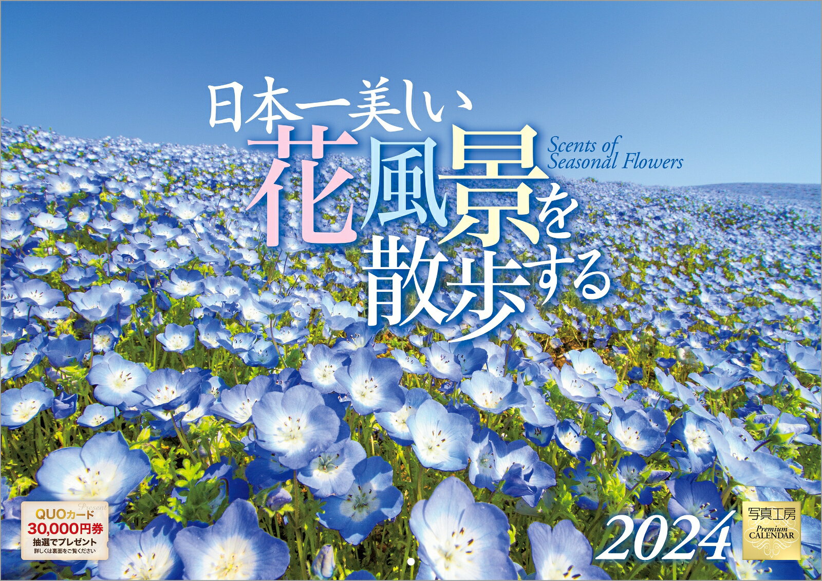 日本一美しい花風景を散歩する 2024 カレンダー 壁掛け 風景 【中型 365 258mm 丸穴タイプ】 写真工房カレンダー 