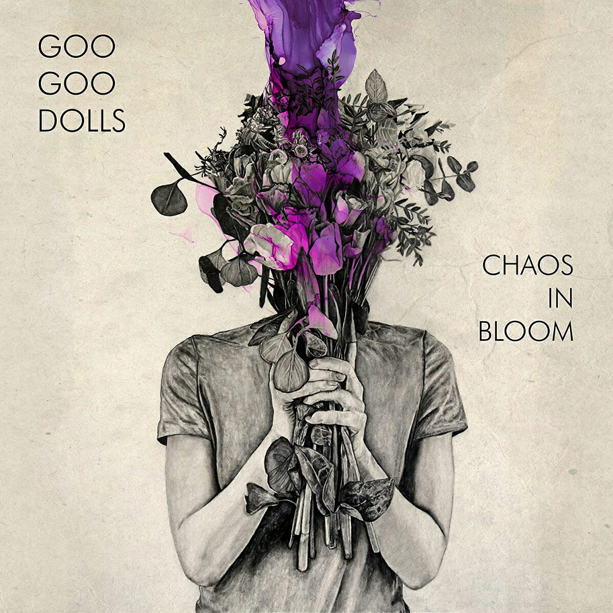 【輸入盤】カオス イン ブルーム GOO GOO DOLLS