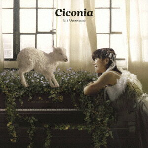 Ciconia