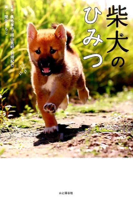 柴犬のひみつ