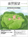 歯界展望 歯が残る時代の咬合再構成 2023年4月号 141巻4号[雑誌]