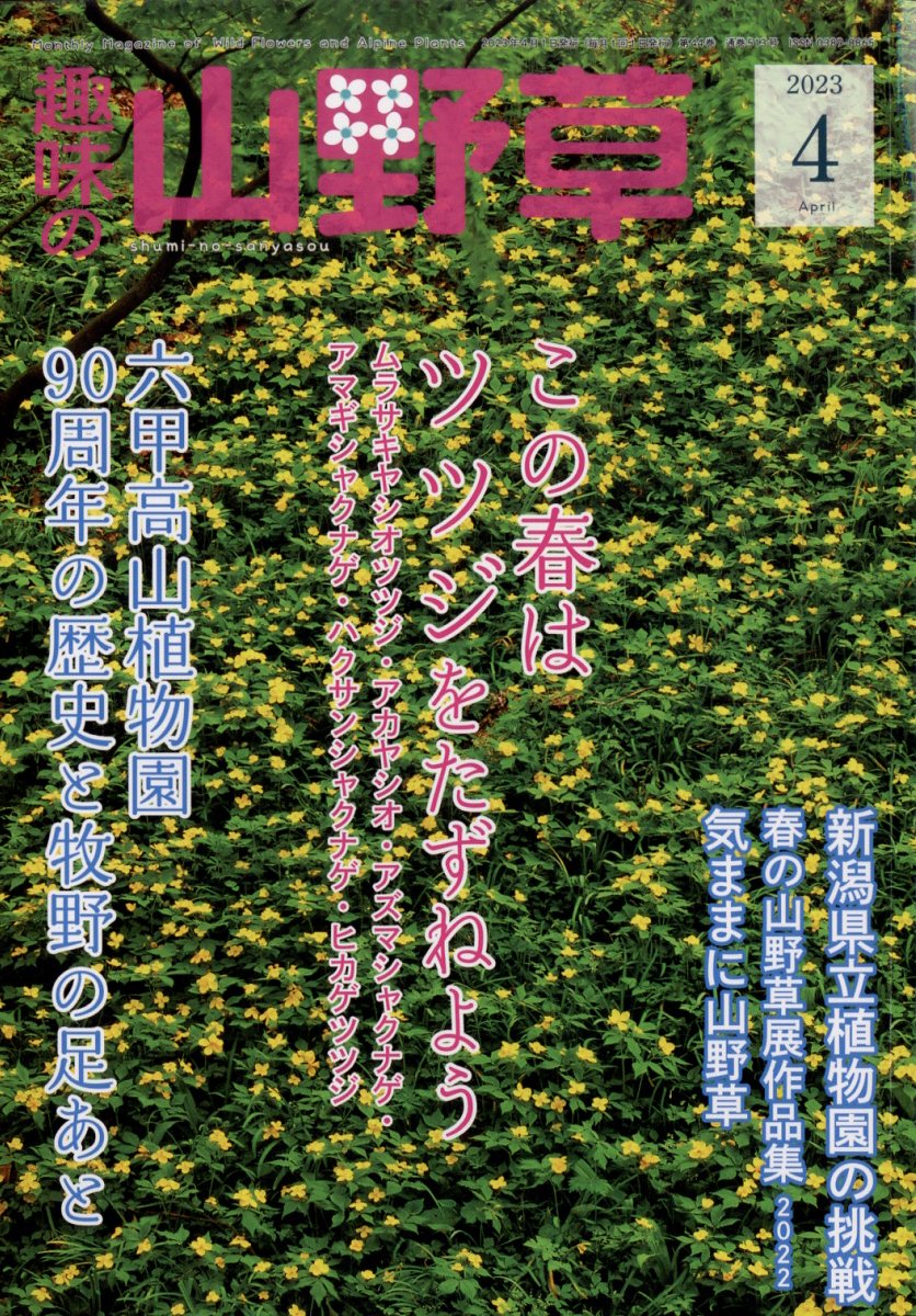 趣味の山野草 2023年 4月号 [雑誌]