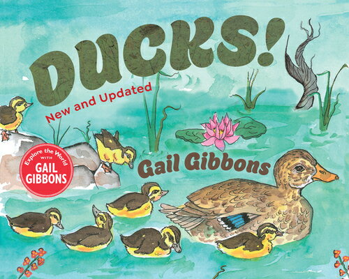 Ducks! (New & Updated) DUCKS (NEW & UPDATED) [ Gail Gibbons ]
