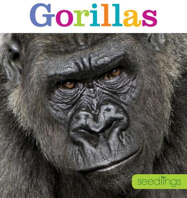 Seedlings: Gorillas SEEDLINGS GORILLAS （Seedlings） [ Kate Riggs ]