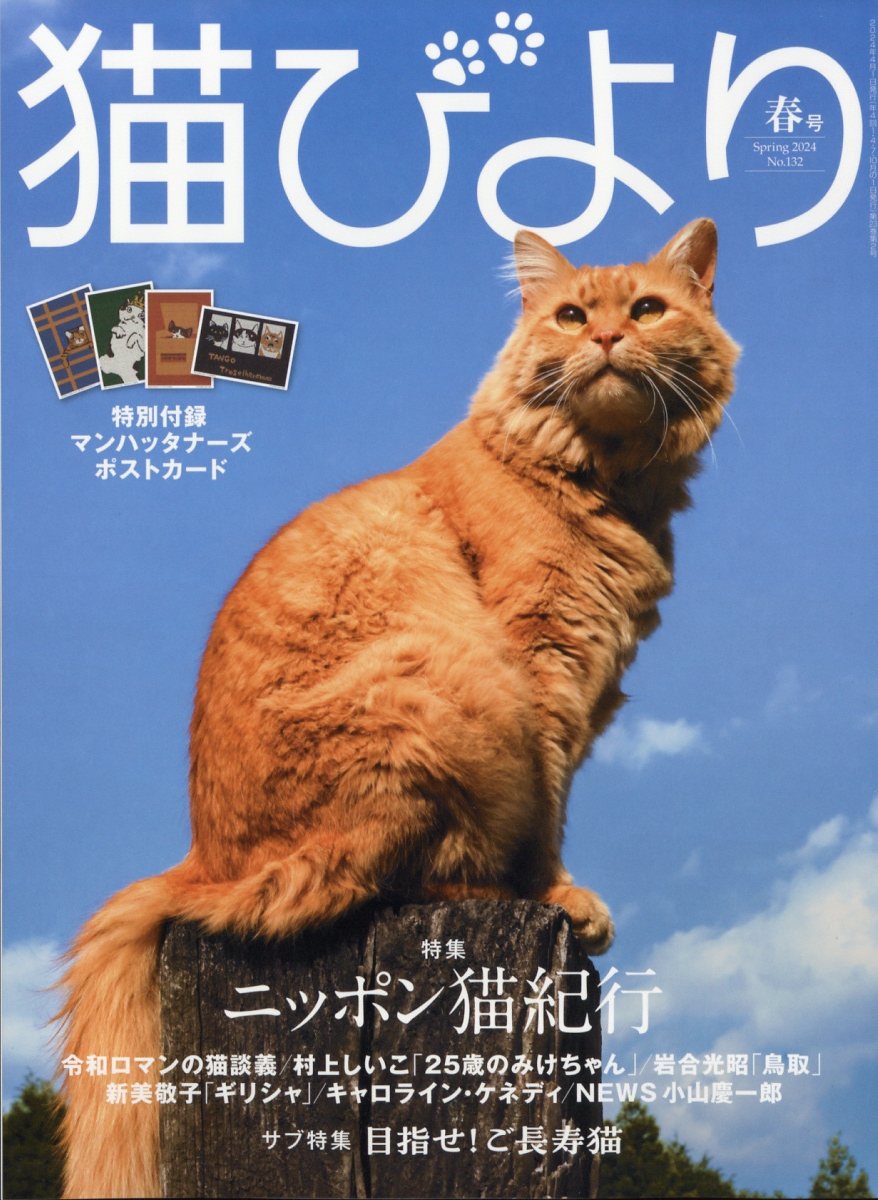 猫びより 2024年春号 [雑誌]