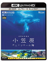 世界自然遺産 小笠原 〜ボニンブルーの海〜【4K ULTRA HD】