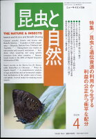 昆虫と自然 2024年 4月号 [雑誌]