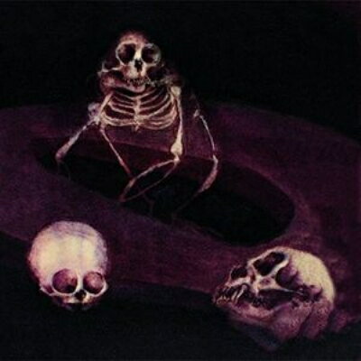 【輸入盤】Hinsides