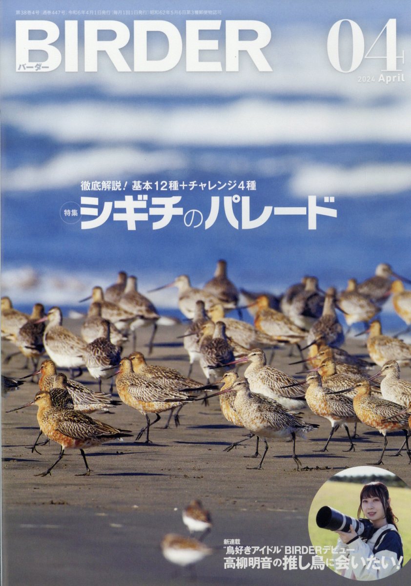 BIRDER (バーダー) 2024年 4月号 [雑誌]