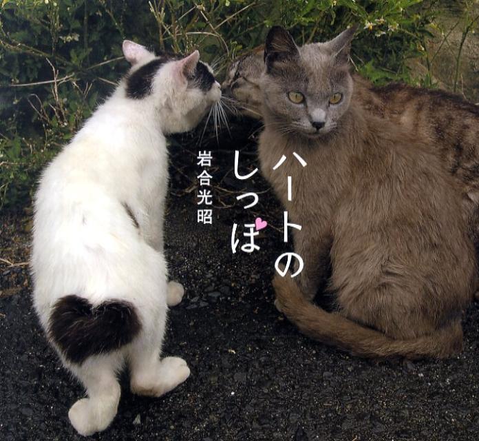 長年にわたって取材した、ネコ島として有名な宮城県の田代島のネコの写真から、選りすぐった作品を中心に構成。「ありのままに生きる」田代島のネコたちに、岩合さんベタ惚れです。