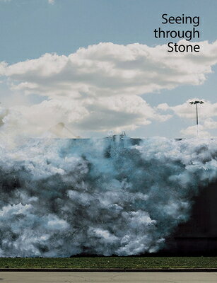 Seeing Through Stone SEEING THROUGH STONE [ Gina Dent ]