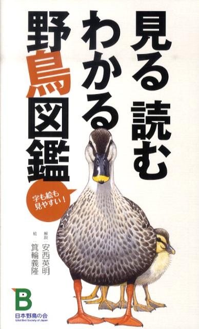 見る読むわかる野鳥図鑑 字も絵も見やすい！ [ 安西英明 ]