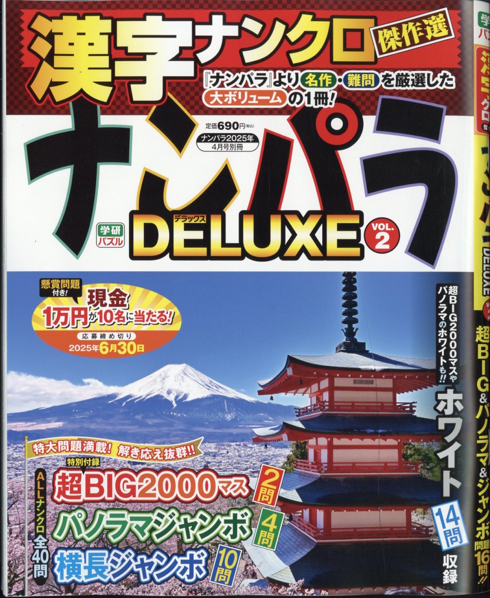 ナンパラDELUXE VOL.2 2025年 4月号 [雑誌]