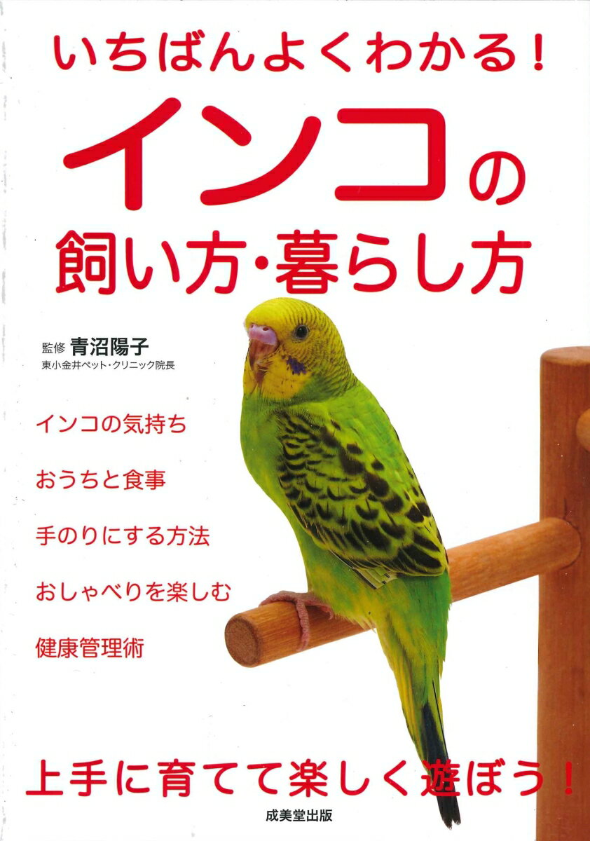 インコの気持ち、おうちと食事、手のりにする方法、おしゃべりを楽しむ、健康管理術。上手に育てて楽しく遊ぼう！