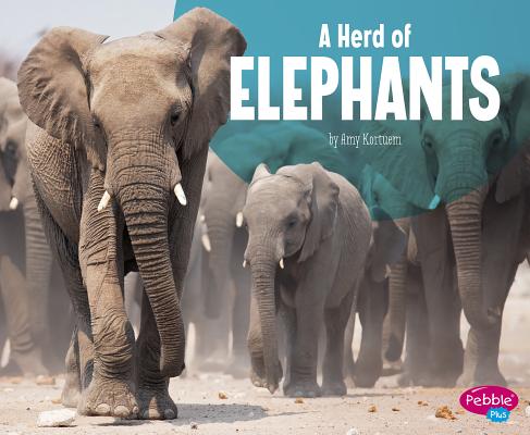 A Herd of Elephants HERD OF ELEPHANTS （Animal Groups） [ Amy Kortuem ]