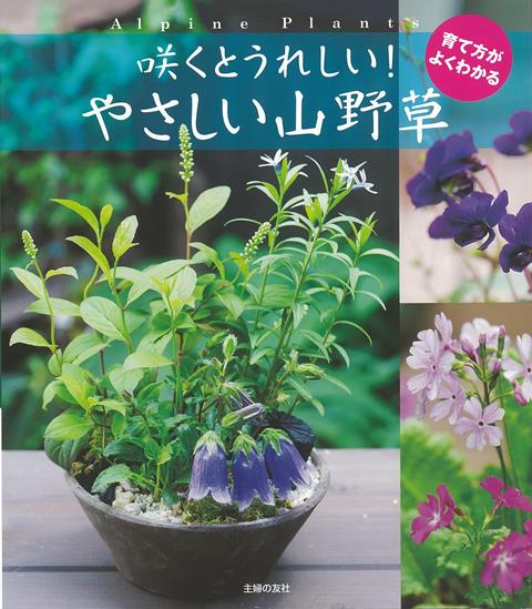 【バーゲン本】咲くとうれしい！やさしい山野草ー育て方がよくわかる