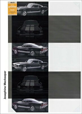 Edited by Rachel Hooper, Gail Kirkpatrick, Heike Munder. Text by Sylvere Lotringer.