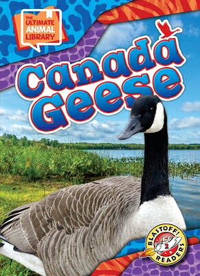 Canada Geese CANADA GEESE （The Ultimate Animal Library） 