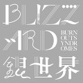 BLIZZARD/銀世界 (初回限定盤 CD＋DVD)