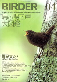 BIRDER (バーダー) 2017年 04月号 [雑誌]