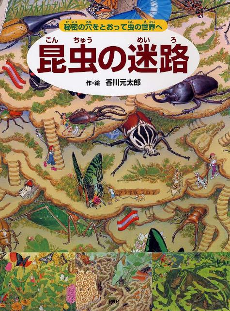 昆虫の迷路 秘密の穴をとおって虫の世界へ [ 香川元太郎 ]