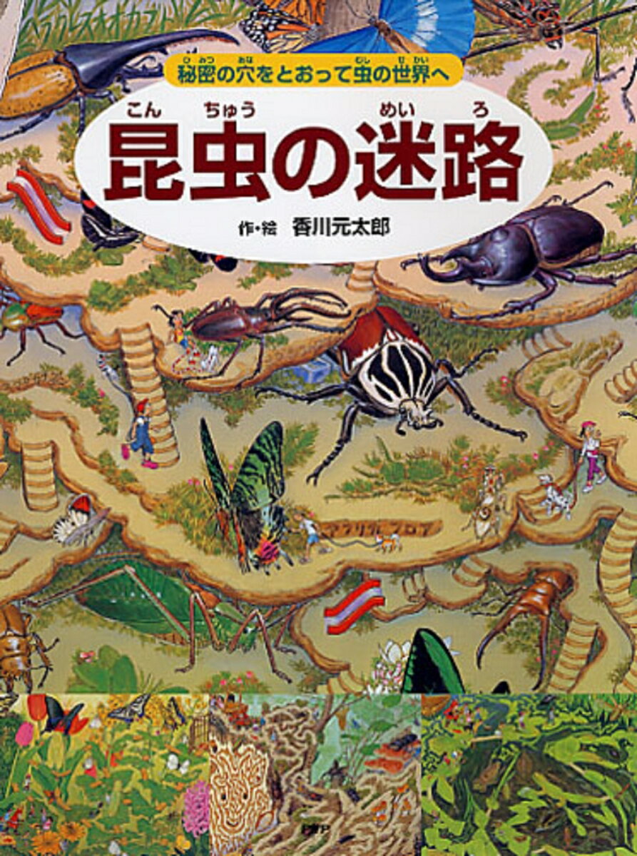 昆虫の迷路 秘密の穴をとおって虫の世界へ [ 香川 元太郎 ]