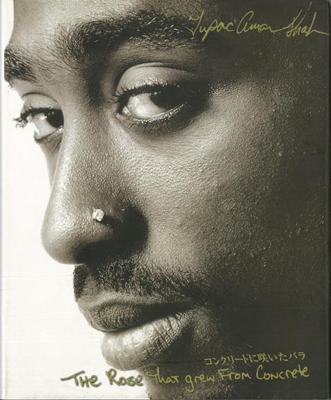 【バーゲン本】コンクリートに咲いたバラ