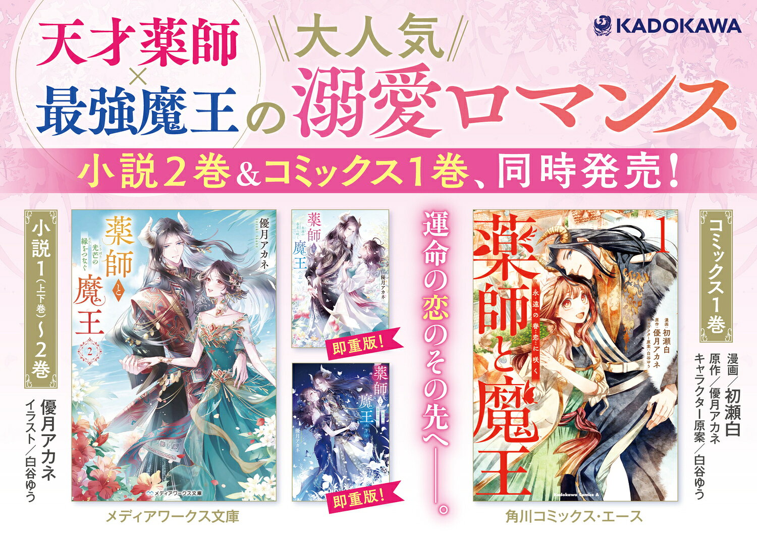 薬師と魔王2 光芒の縁をつなぐ(3) (メディ...の紹介画像3