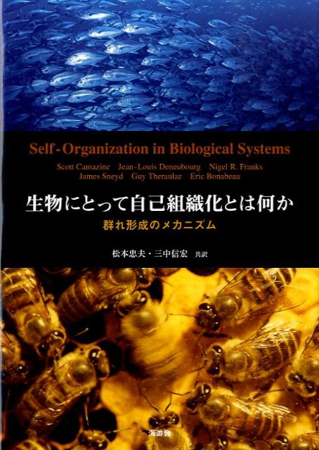 生物にとって自己組織化とは何か