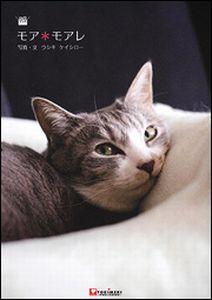 モア・モアレ DVDブック [ ウシキケイシロー ]