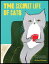 The Secret Life of Cats Correspondence Cards: (Funny Kitty Portrait Flat Cards by Japanese Artist, C SECRET LIFE OF CATS CORRESPOND [ Pepe Shimada ]