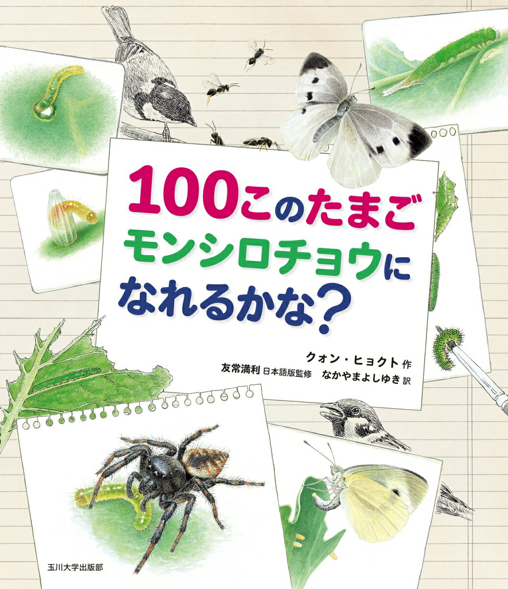 100このたまご モンシロチョウになれるかな？