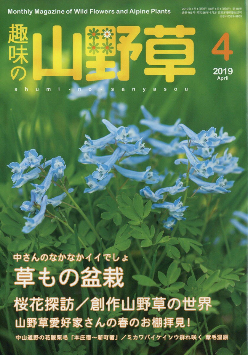趣味の山野草 2019年 04月号 [雑誌]