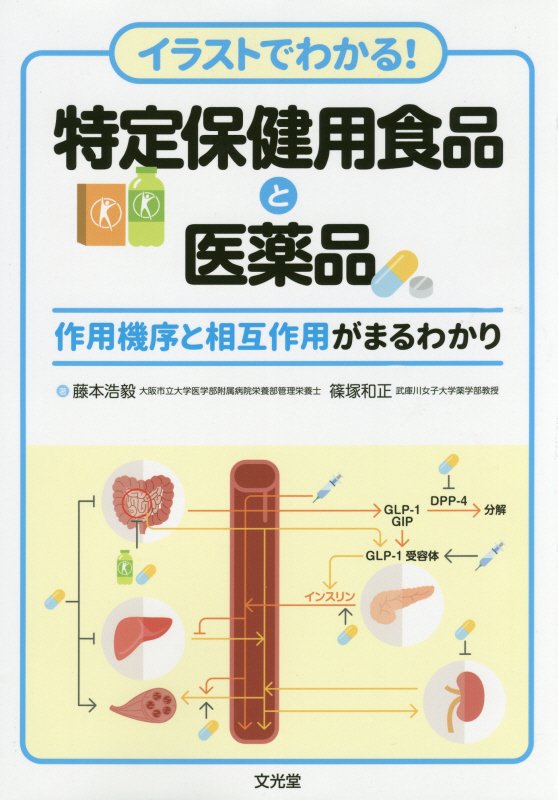 イラストでわかる！特定保健用食品と医薬品