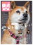 一個人5月号増刊 柴犬ライフ VOL.3 2020年05月号