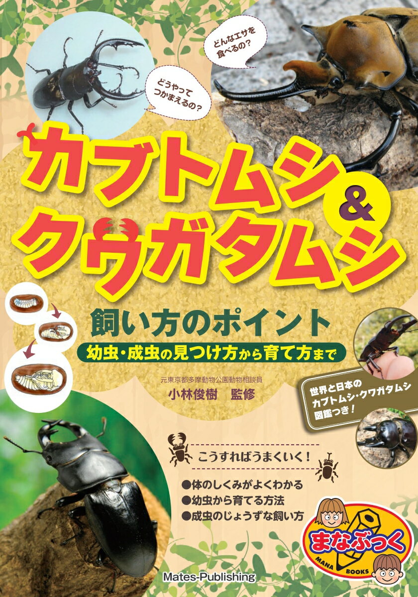 カブトムシ＆クワガタムシ 飼い方のポイント 幼虫・成虫の見つけ方から育て方まで