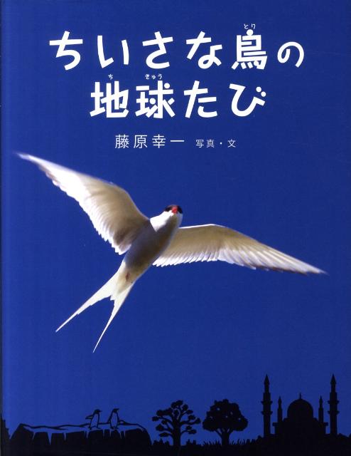 ちいさな鳥の地球たび