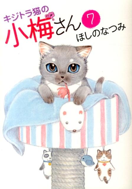 楽天市場】キジトラ猫の小梅さんの通販 楽天市場】キジトラ猫の小梅さんの通販