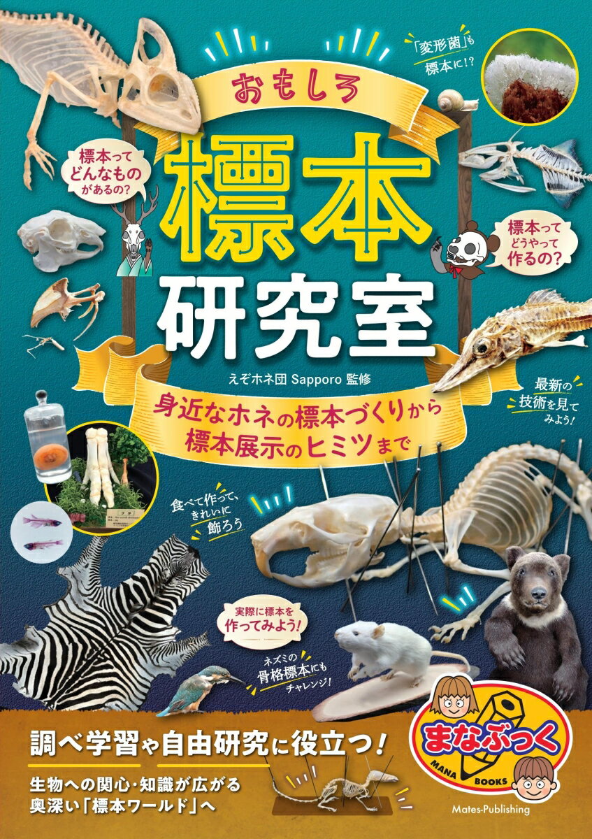★　調べ学習や自由研究に役立つ!

★　生物への関心・知識が広がる

　＊標本ってどんなものがあるの?
　＊標本ってどうやって作るの?
　＊実際に標本を作ってみよう!

★　奥深い「標本ワールド」へ

　＊「変形菌」も標本に!?
　＊最新の技術を見てみよう!
　＊食べて作って、きれいに飾ろう


◇◆◇　本書について　◇◆◇

私たちの身の回りには、
生命の多様性を物語る
無数の存在があります。

肉体を形成していた物質はいずれ分解され、
次の新たな生命の糧になっていきます。
ですが、生命の生きていた証を
「標本として残す」という選択肢があります。

「標本」と一口にいっても、
そのもののバックグランドを
明確に記したラベルを貼れば、
道で拾った石も、昆虫の羽一枚でも、
昨日夕食で食べた魚の骨であっても
「標本」になります。
この本では主に「脊椎動物の標本」を
中心に構成しています。

魅力ある標本の世界を多くの方に見てもらい、
標本作成を通してその価値を伝えたいと
思っています。
五感を使った体験を通じて、
もっと身近に感じたり、
新たな発見やその先の思いを
大切にしてもらいたいと思っています。

第1章から第3章では、
イベントなどで標本を展示した際に
多い質問を中心に説明しています。
「こんな標本があります!」という、
まずは標本の世界に触れてもらうことを
メインにしています。

より詳細な作り方は、
第4章と第5章にぎゅっと詰め込みました。
自分でも作ってみたい!と思った方の
きっかけになれば幸いです。

この本では、工夫やアイデアを
たくさん盛り込んでいます。
従来からあるつくり方とは違った、
試験的に作ってみたものや経過観察中の標本も
紹介しています。

一つでも多く標本づくりの幅が広がることを
願っています。
「面白い世界があるのだな」
と思っていただければ幸いです。


◇◆◇　主な目次　◇◆◇

☆第1章　骨格標本を知る

☆第2章　姿・形を残す

☆第3章　いろいろな標本大集合

☆第4章　食卓からできる標本作り

☆第5章　本気で標本を作ってみよう

☆第6章　標本から広がる世界
